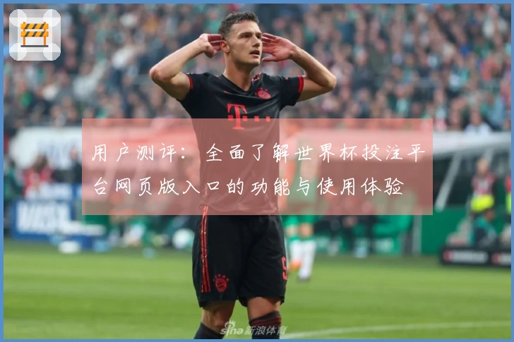 用户测评:全面了解世界杯投注平台网页版入口的功能与使用体验