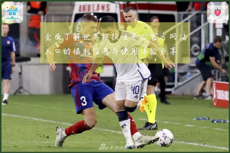 全面了解世界杯投注平台官方网站入口的福利信息与使用体验分享
