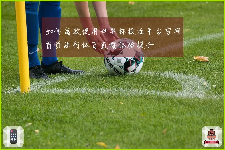 如何高效使用世界杯投注平台官网首页进行体育直播体验提升
