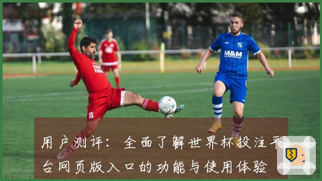 用户测评：全面了解世界杯投注平台网页版入口的功能与使用体验