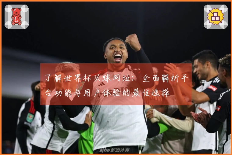了解世界杯买球网址：全面解析平台功能与用户体验的最佳选择