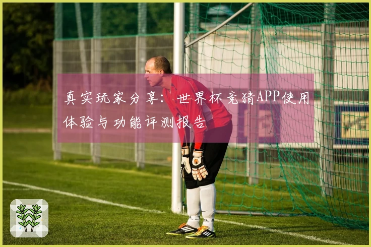 真实玩家分享：世界杯竞猜APP使用体验与功能评测报告