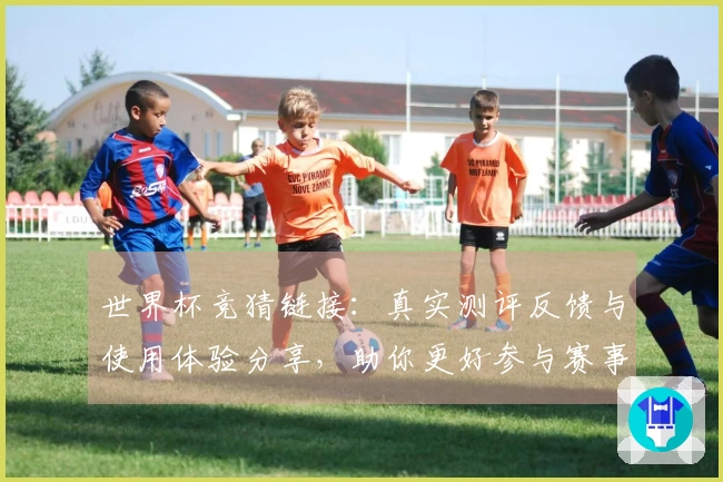 世界杯竞猜链接：真实测评反馈与使用体验分享，助你更好参与赛事竞猜