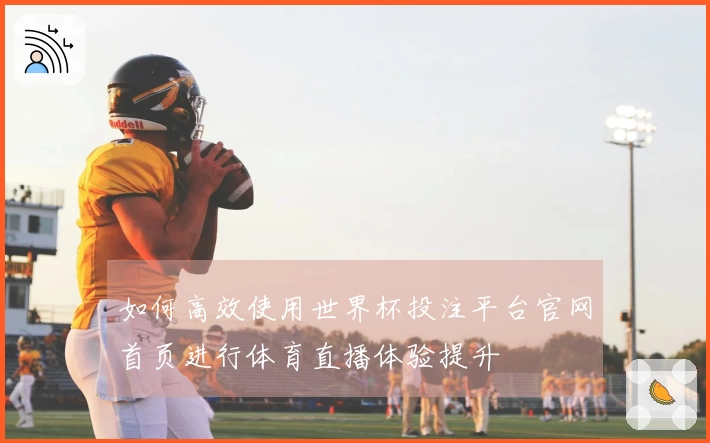 如何高效使用世界杯投注平台官网首页进行体育直播体验提升